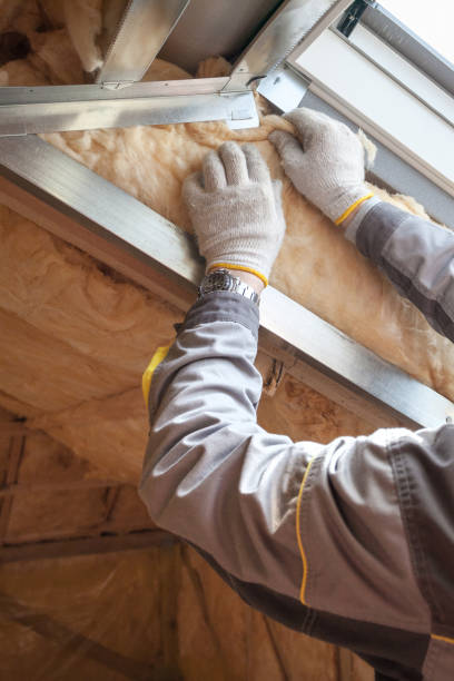 Trusted LA Insulation Contractor Experts